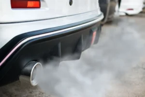 Membantu Mengurangi Emisi Karbon