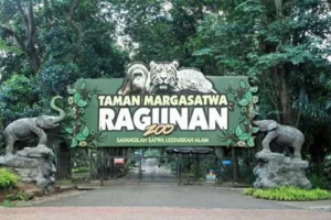 Kebun Binatang Ragunan